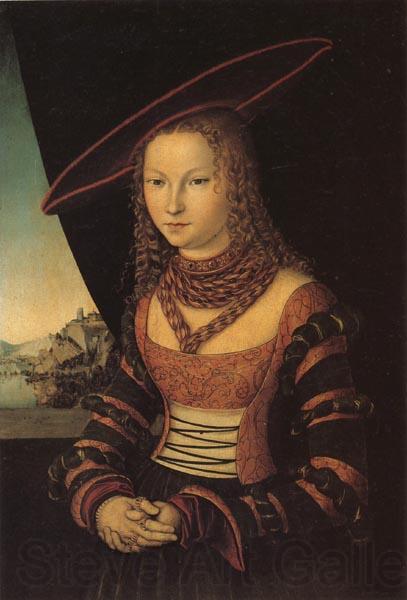 Lucas Cranach the Elder Portrait of a Lady Spain oil painting art